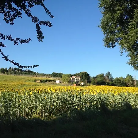 Sleeps 14 Pool Wifi